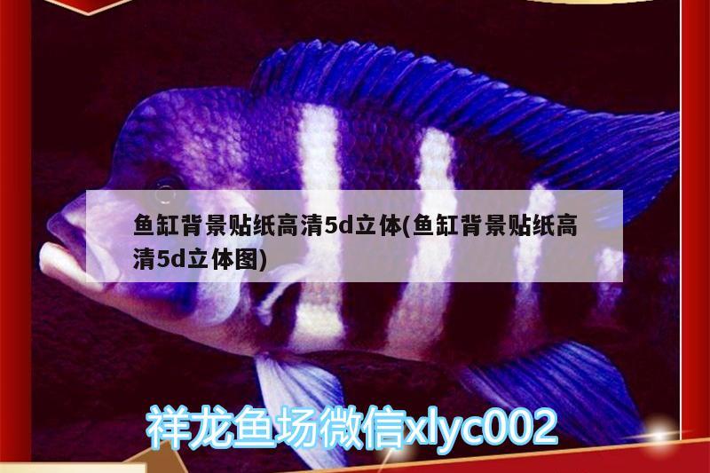 魚缸背景貼紙高清5d立體(魚缸背景貼紙高清5d立體圖)