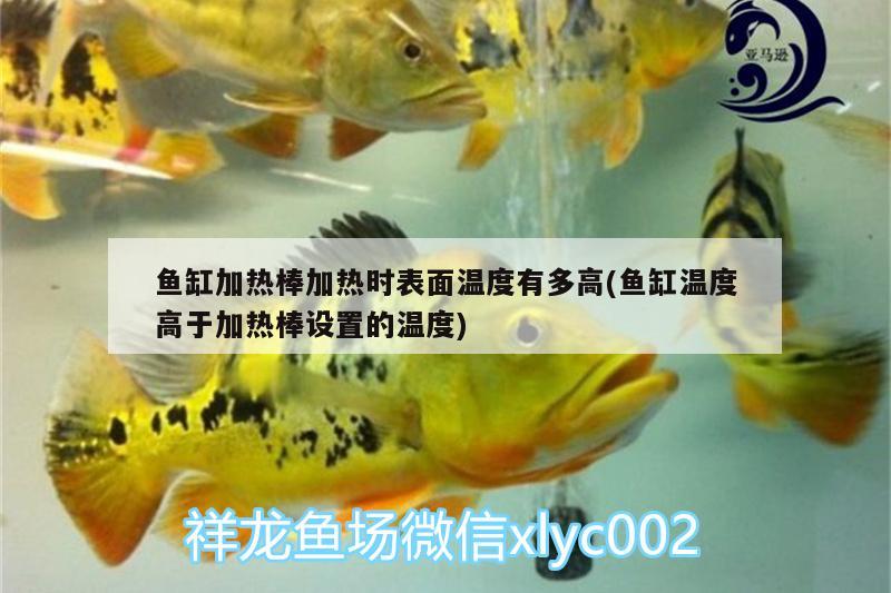 魚缸加熱棒加熱時表面溫度有多高(魚缸溫度高于加熱棒設(shè)置的溫度)