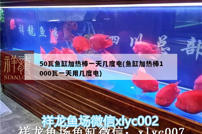 50瓦魚(yú)缸加熱棒一天幾度電(魚(yú)缸加熱棒1000瓦一天用幾度電) 泰國(guó)雪鯽魚(yú)