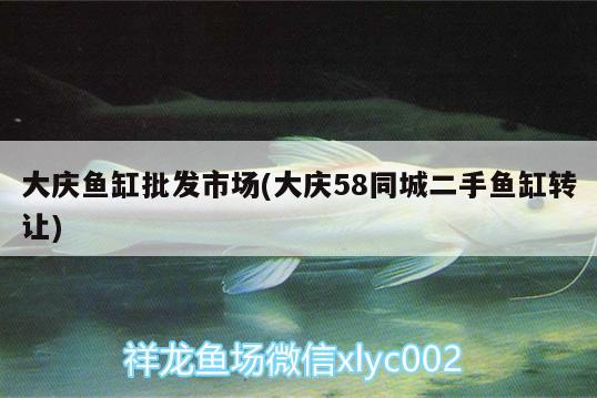 大慶魚(yú)缸批發(fā)市場(chǎng)(大慶58同城二手魚(yú)缸轉(zhuǎn)讓) 觀賞魚(yú)飼料