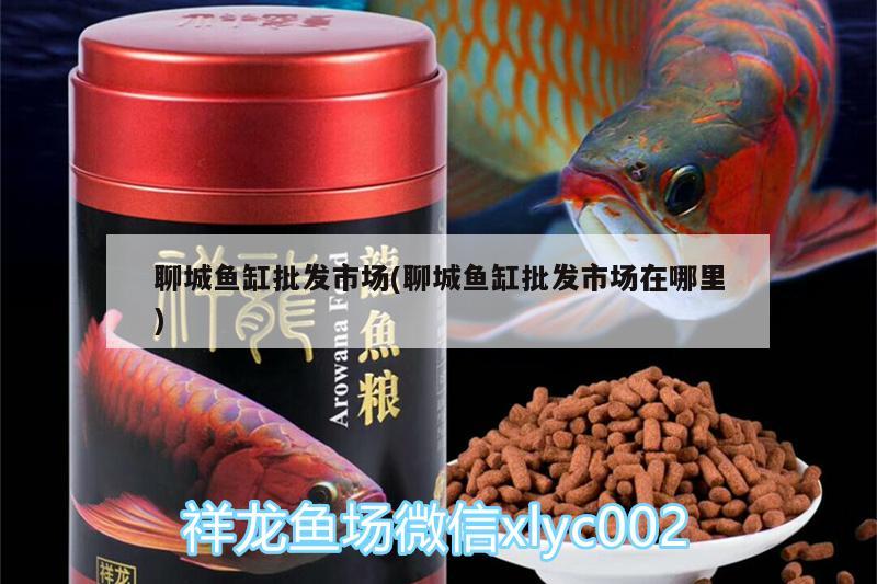 聊城魚缸批發(fā)市場(聊城魚缸批發(fā)市場在哪里)