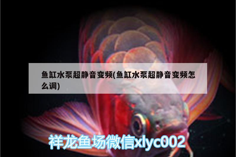 魚缸水泵超靜音變頻(魚缸水泵超靜音變頻怎么調(diào))