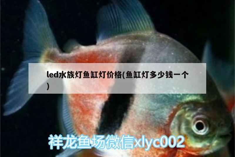 led水族燈魚缸燈價格(魚缸燈多少錢一個) 生態(tài)瓶/創(chuàng)意缸/桌面微景缸