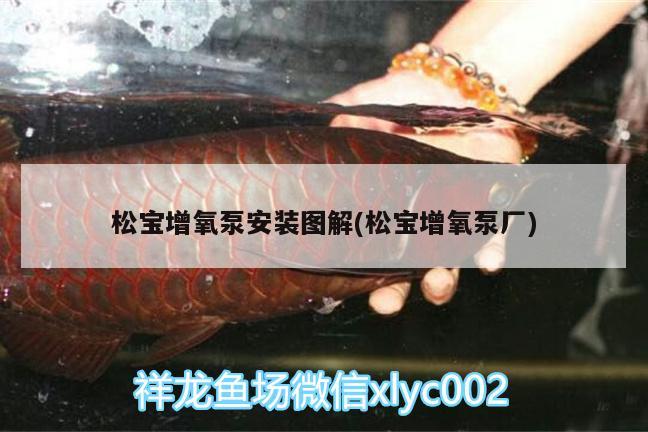 松寶增氧泵安裝圖解(松寶增氧泵廠) 大白鯊魚