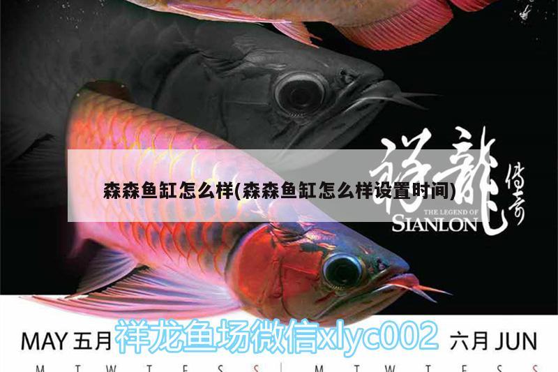 森森魚缸怎么樣(森森魚缸怎么樣設(shè)置時間) 肥料