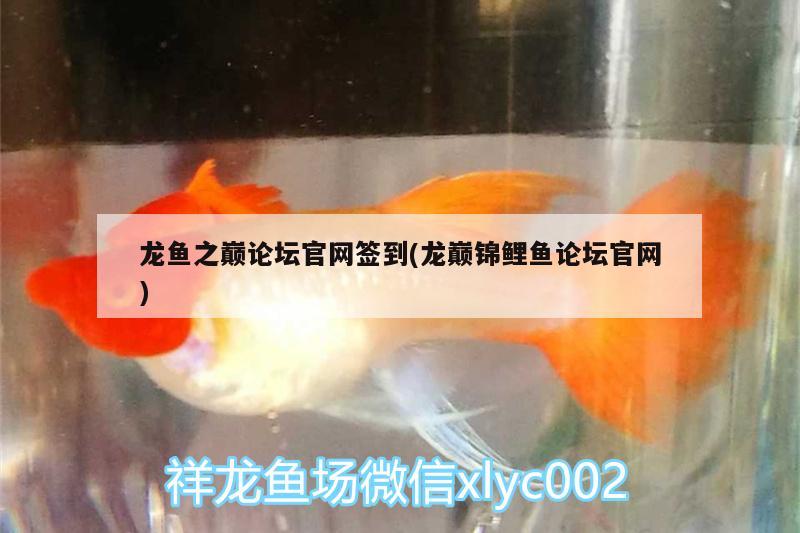 龍魚之巔論壇官網(wǎng)簽到(龍巔錦鯉魚論壇官網(wǎng))