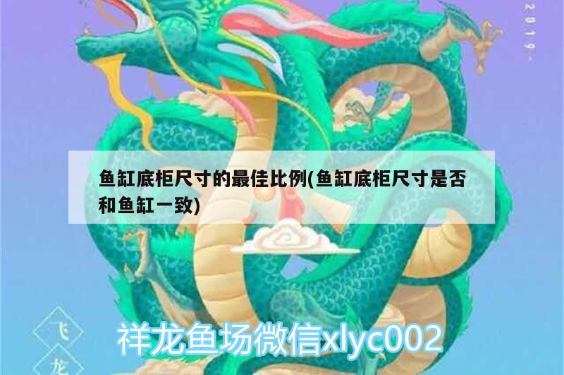 魚缸底柜尺寸的最佳比例(魚缸底柜尺寸是否和魚缸一致)