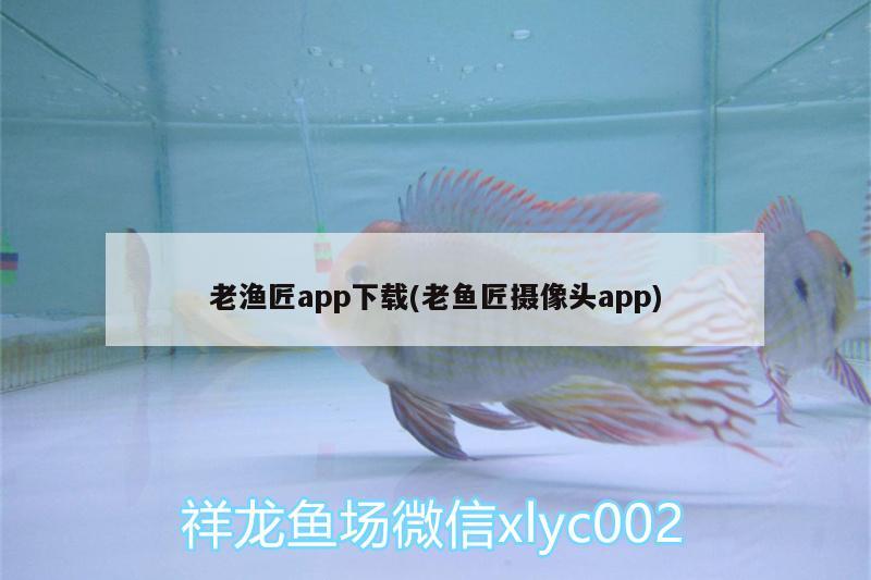 老漁匠app下載(老魚匠攝像頭app) 老魚匠