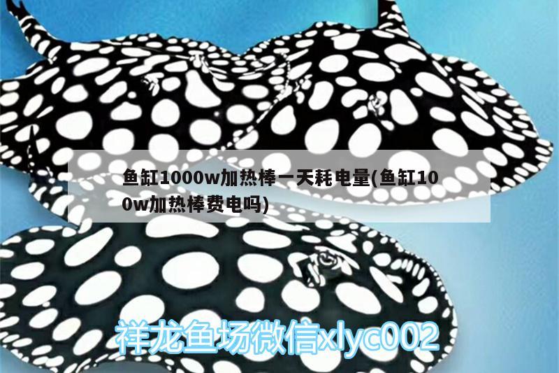 魚缸1000w加熱棒一天耗電量(魚缸100w加熱棒費(fèi)電嗎) 野生地圖魚