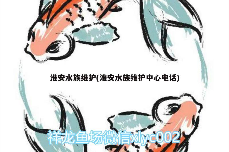 淮安水族維護(淮安水族維護中心電話)