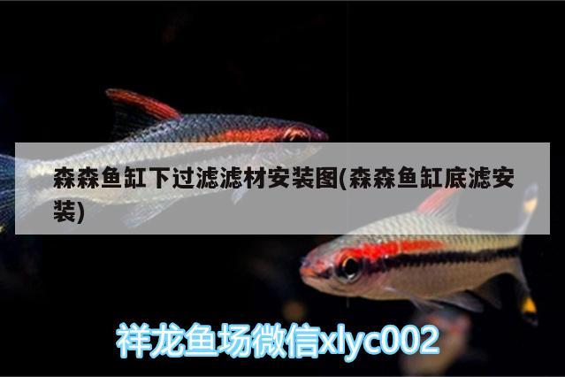 森森魚(yú)缸下過(guò)濾濾材安裝圖(森森魚(yú)缸底濾安裝) 馬拉莫寶石魚(yú)