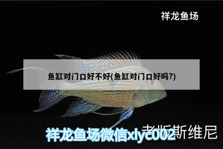 魚(yú)缸對(duì)門(mén)口好不好(魚(yú)缸對(duì)門(mén)口好嗎?)