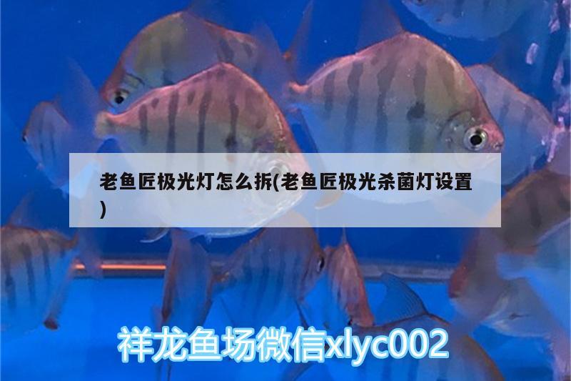 老魚匠極光燈怎么拆(老魚匠極光殺菌燈設置)