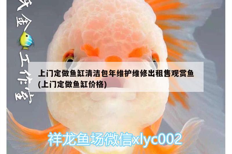 上門定做魚缸清潔包年維護(hù)維修出租售觀賞魚(上門定做魚缸價格)