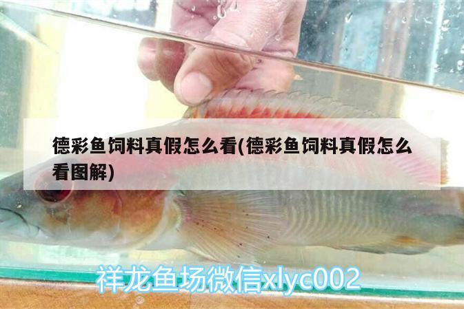 德彩魚飼料真假怎么看(德彩魚飼料真假怎么看圖解)