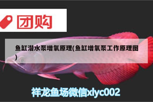 魚缸潛水泵增氧原理(魚缸增氧泵工作原理圖) 魚缸清潔用具