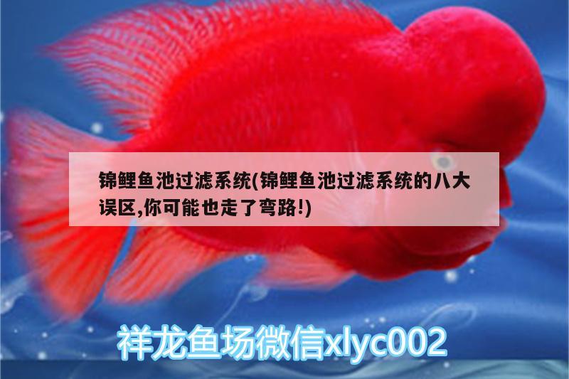 錦鯉魚(yú)池過(guò)濾系統(tǒng)(錦鯉魚(yú)池過(guò)濾系統(tǒng)的八大誤區(qū),你可能也走了彎路!)