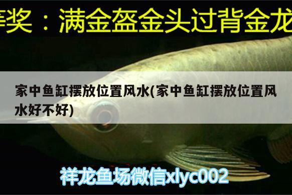 家中魚缸擺放位置風(fēng)水(家中魚缸擺放位置風(fēng)水好不好) 魚缸風(fēng)水 第2張