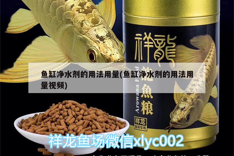 魚缸凈水劑的用法用量(魚缸凈水劑的用法用量視頻) 野生埃及神仙魚