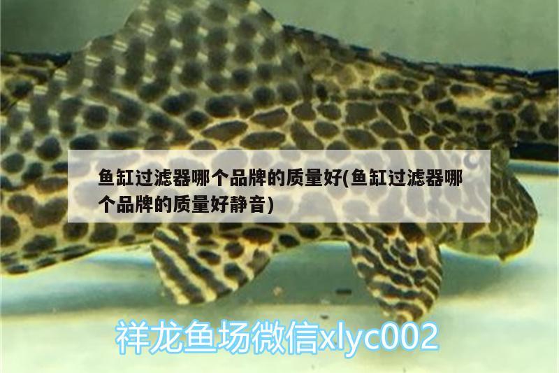 魚缸過濾器哪個品牌的質量好(魚缸過濾器哪個品牌的質量好靜音)