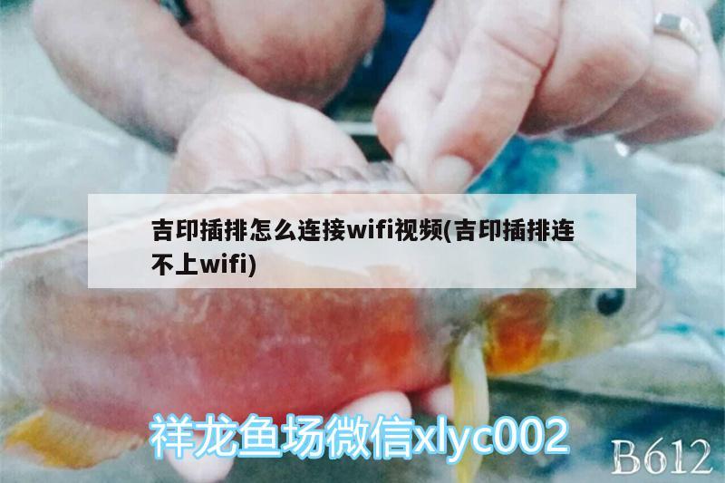 吉印插排怎么連接wifi視頻(吉印插排連不上wifi)