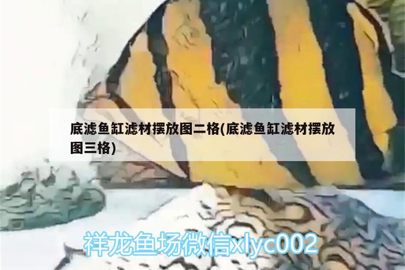 底濾魚缸濾材擺放圖二格(底濾魚缸濾材擺放圖三格)