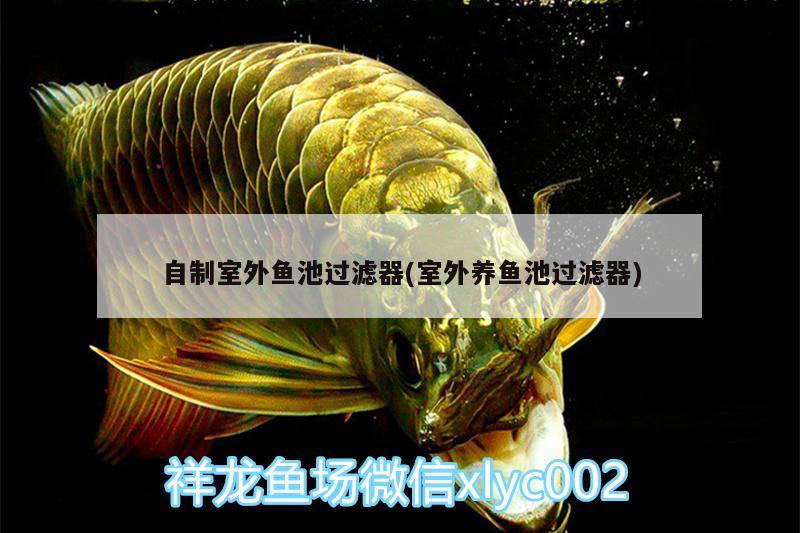 自制室外魚池過濾器(室外養(yǎng)魚池過濾器) 虎魚百科