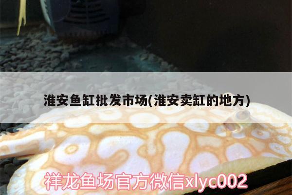 淮安魚(yú)缸批發(fā)市場(chǎng)(淮安賣(mài)缸的地方)