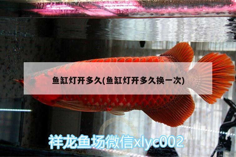 魚缸燈開多久(魚缸燈開多久換一次)