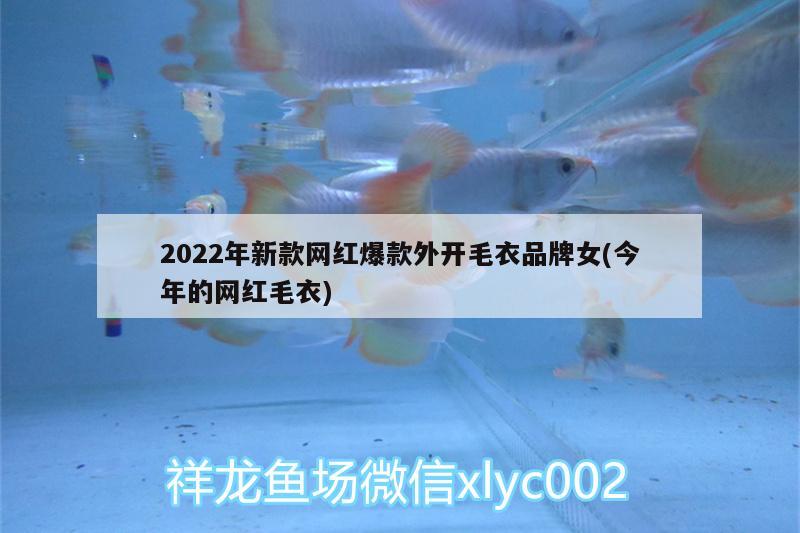 2022年新款網(wǎng)紅爆款外開(kāi)毛衣品牌女(今年的網(wǎng)紅毛衣)