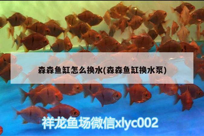 森森魚缸怎么換水(森森魚缸換水泵)