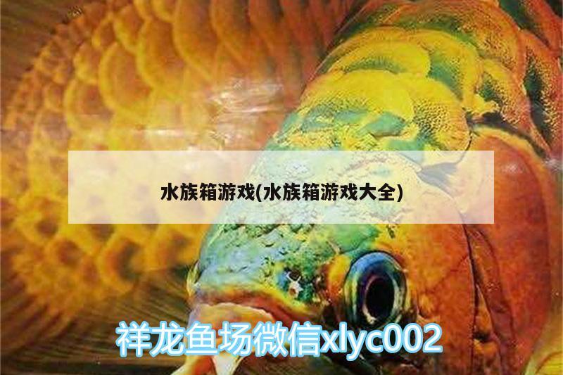 水族箱游戲(水族箱游戲大全) 魚(yú)缸/水族箱