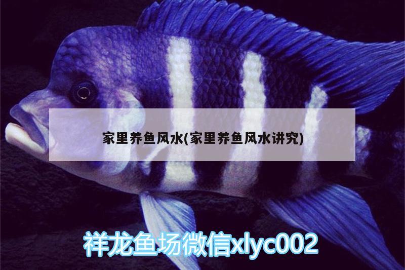 家里養(yǎng)魚風(fēng)水(家里養(yǎng)魚風(fēng)水講究)