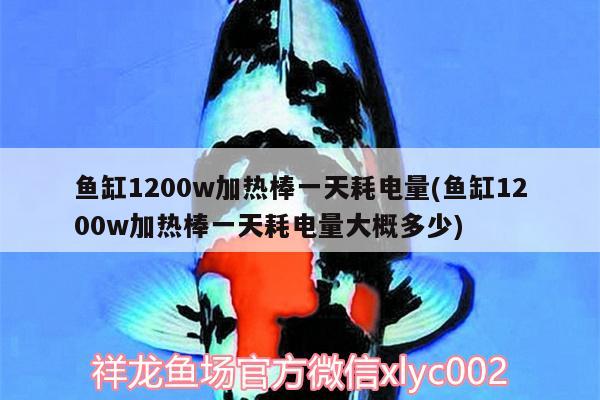 魚(yú)缸1200w加熱棒一天耗電量(魚(yú)缸1200w加熱棒一天耗電量大概多少) 夢(mèng)幻雷龍魚(yú)