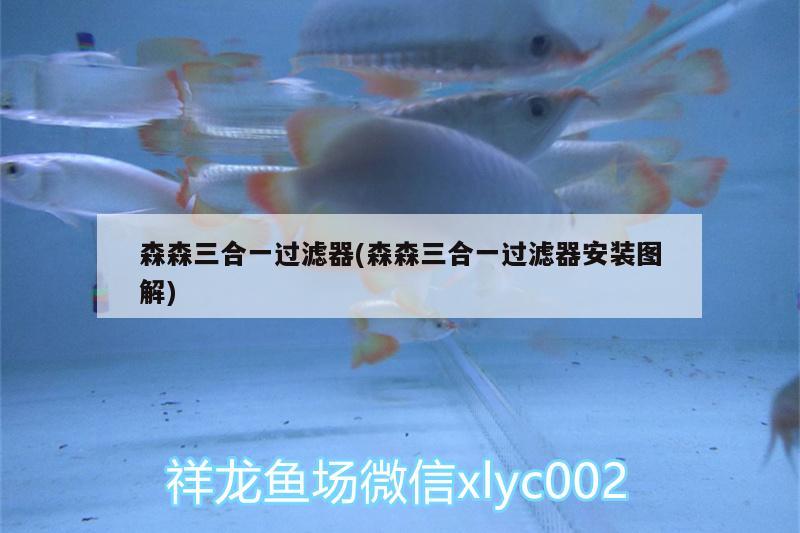 森森三合一過濾器(森森三合一過濾器安裝圖解) 過背金龍魚