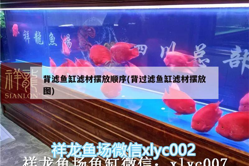 背濾魚缸濾材擺放順序(背過(guò)濾魚缸濾材擺放圖) 蘇虎 第2張