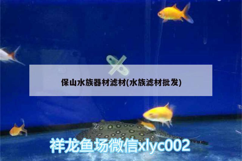 保山水族器材濾材(水族濾材批發(fā))