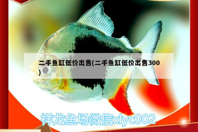 二手魚缸低價出售(二手魚缸低價出售300)