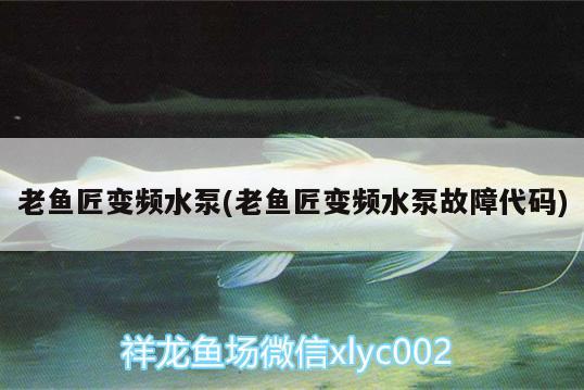 老魚(yú)匠變頻水泵(老魚(yú)匠變頻水泵故障代碼)