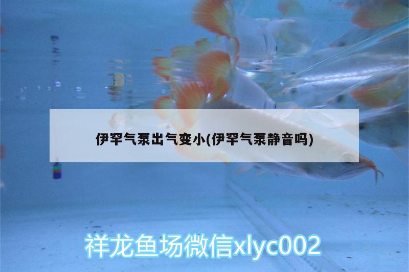 伊罕氣泵出氣變小(伊罕氣泵靜音嗎)