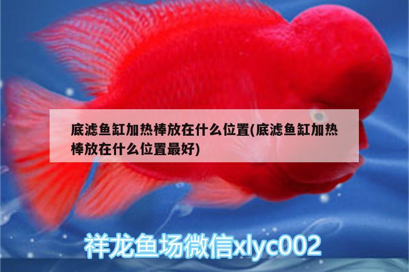 底濾魚缸加熱棒放在什么位置(底濾魚缸加熱棒放在什么位置最好)