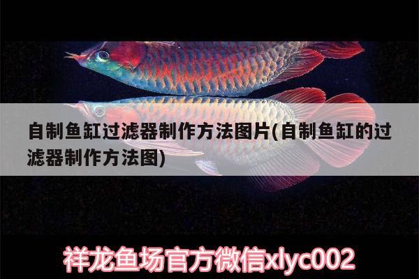 自制魚(yú)缸過(guò)濾器制作方法圖片(自制魚(yú)缸的過(guò)濾器制作方法圖) 廣州水族器材濾材批發(fā)市場(chǎng) 第2張