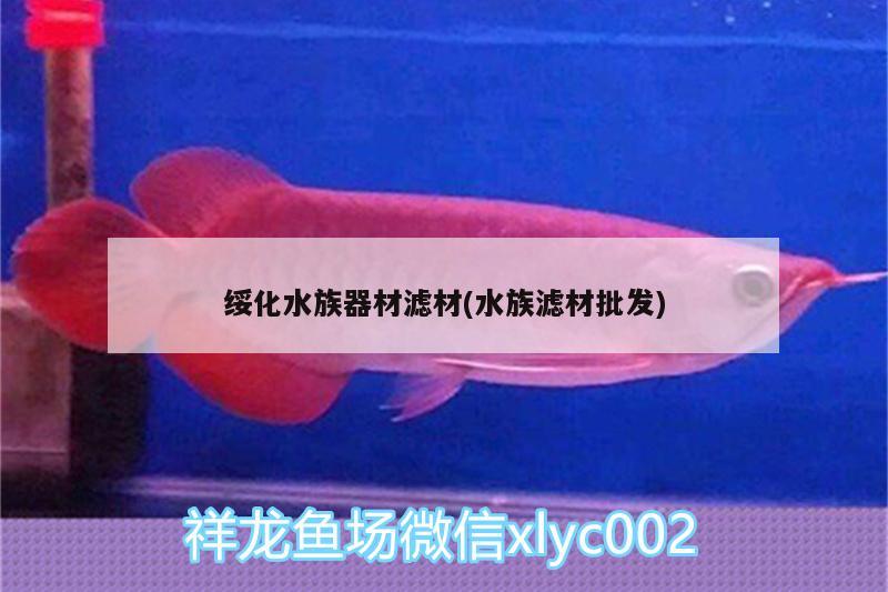 綏化水族器材濾材(水族濾材批發(fā)) 印尼紅龍魚