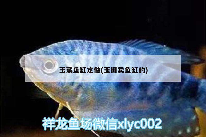 玉溪魚缸定做(玉田賣魚缸的)