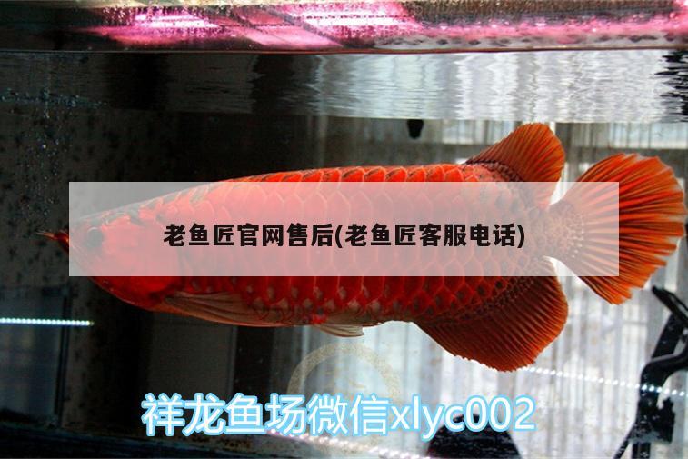 老魚(yú)匠官網(wǎng)售后(老魚(yú)匠客服電話(huà)) 老魚(yú)匠