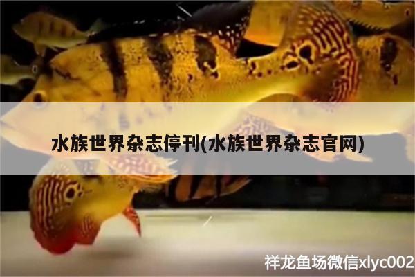 水族世界雜志停刊(水族世界雜志官網(wǎng)) 野彩魚