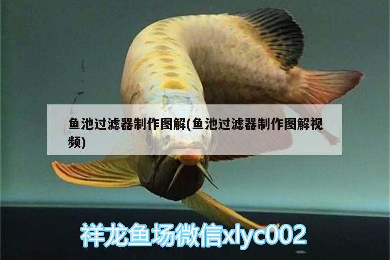 魚(yú)池過(guò)濾器制作圖解(魚(yú)池過(guò)濾器制作圖解視頻) 黑金魟魚(yú)