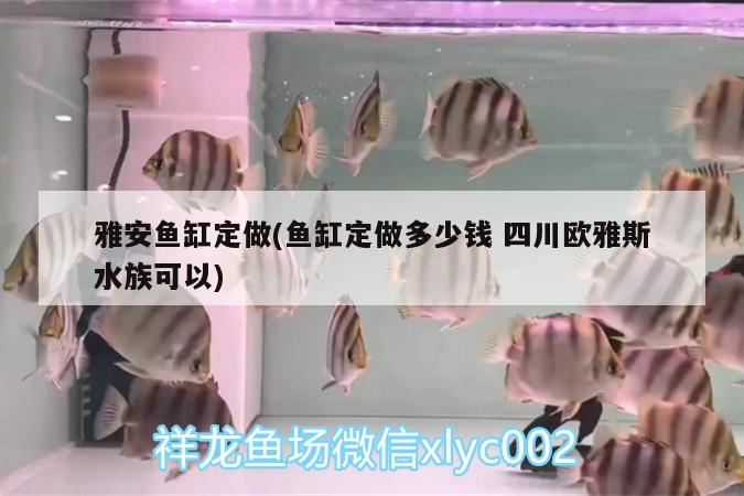 雅安魚缸定做(魚缸定做多少錢四川歐雅斯水族可以)