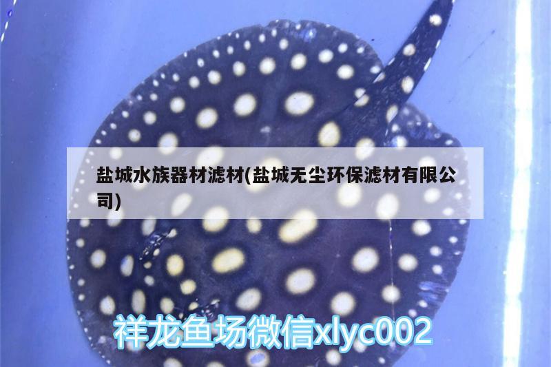 鹽城水族器材濾材(鹽城無塵環(huán)保濾材有限公司) 祥龍水族護理水