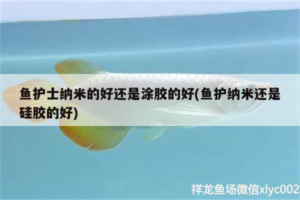 魚(yú)護(hù)士納米的好還是涂膠的好(魚(yú)護(hù)納米還是硅膠的好)